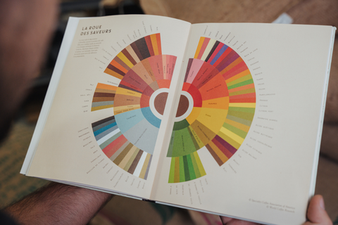 La roue des saveurs du café : Un outil sensoriel pour mieux déguster