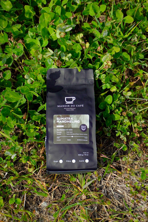 Sumatra Mandheling